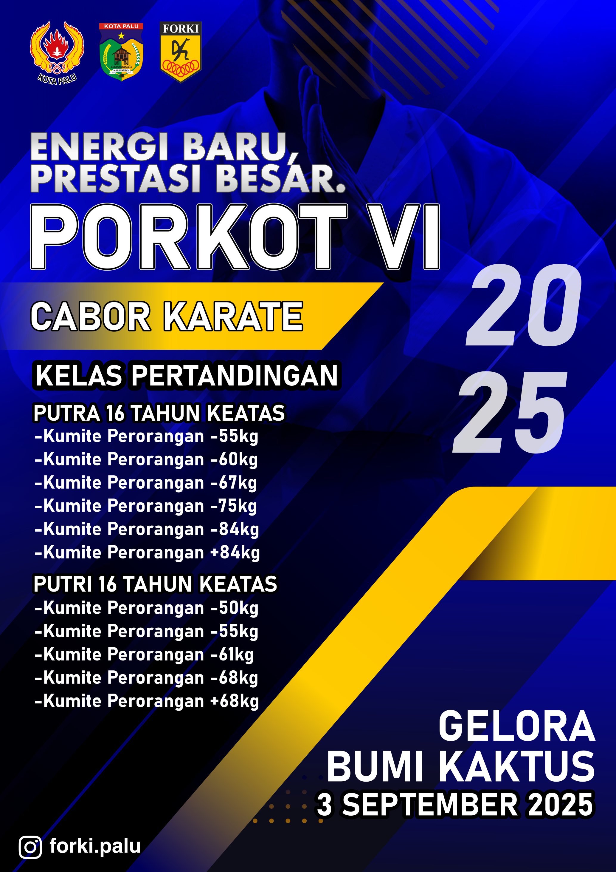 PORKOT VI